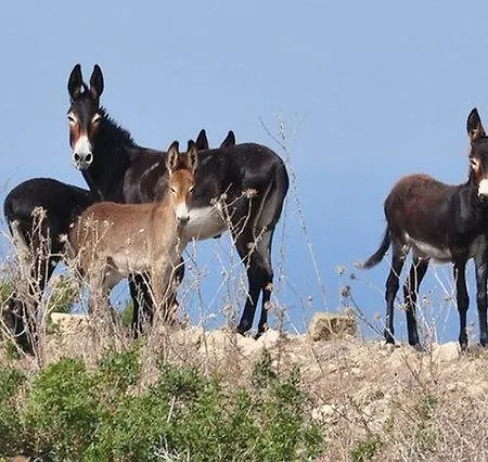 In Cyprus