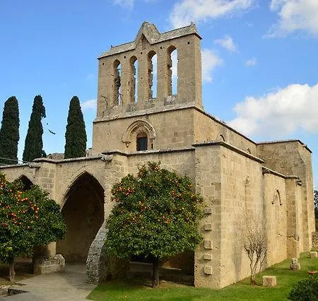 In Cyprus Trikomo
