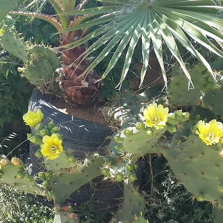 In Cyprus Διαμέρισμα *